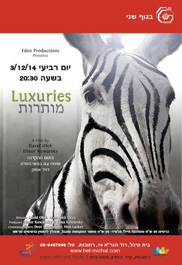 Read more about the article מותרות | דויד אופק