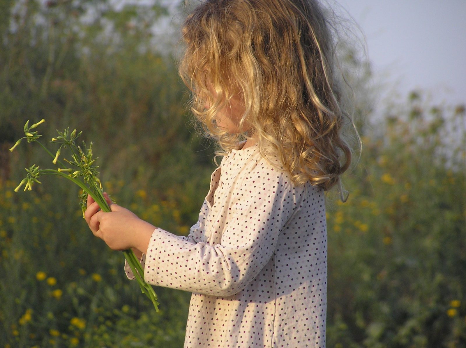 Read more about the article ילד אסור, ילד מותר  |  החופש ללמוד – נדחה