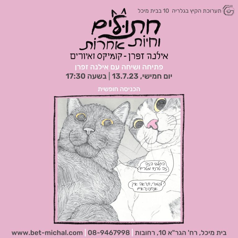 גלריה 10 - בית מיכל