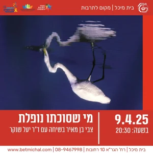 מפגשים 24-25