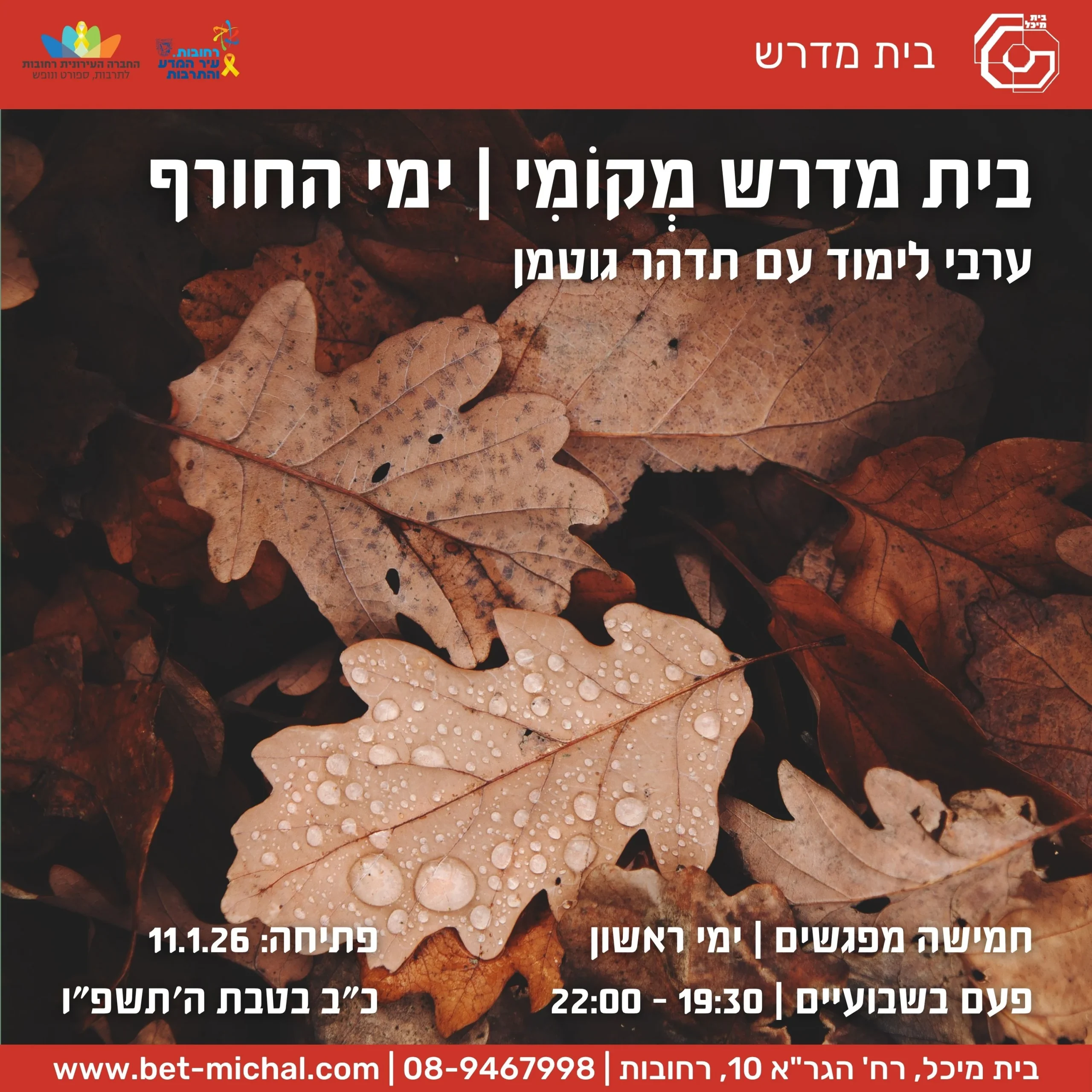 סדנאות למבוגרים